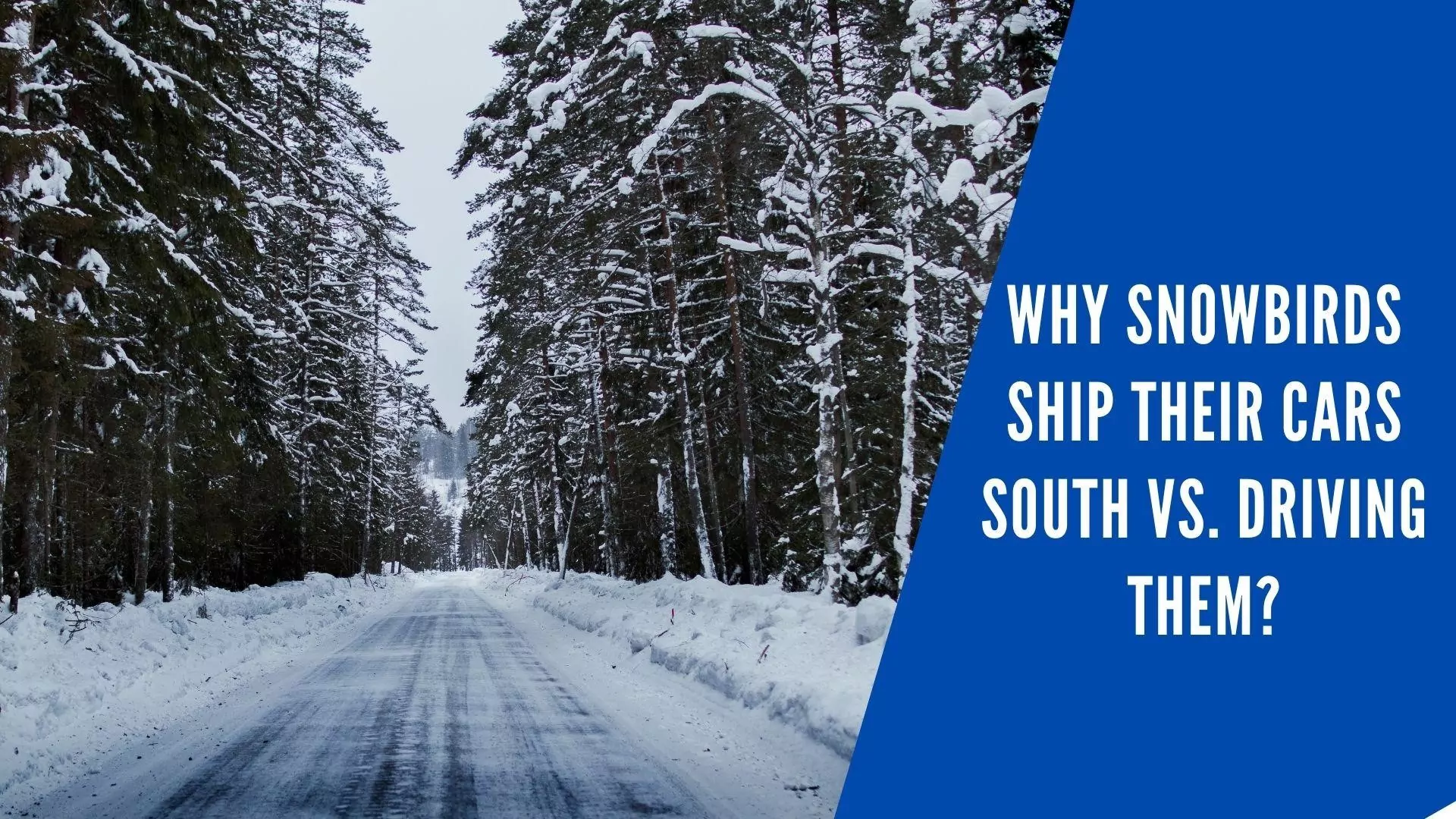 Why So Many Canadian Snowbirds Ship Their Cars South Vs. Driving Them? – [Answered]